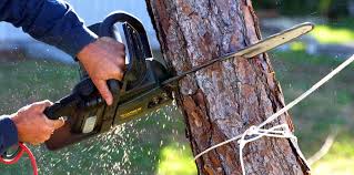 Best Leaf Removal  in Rmichael, CA